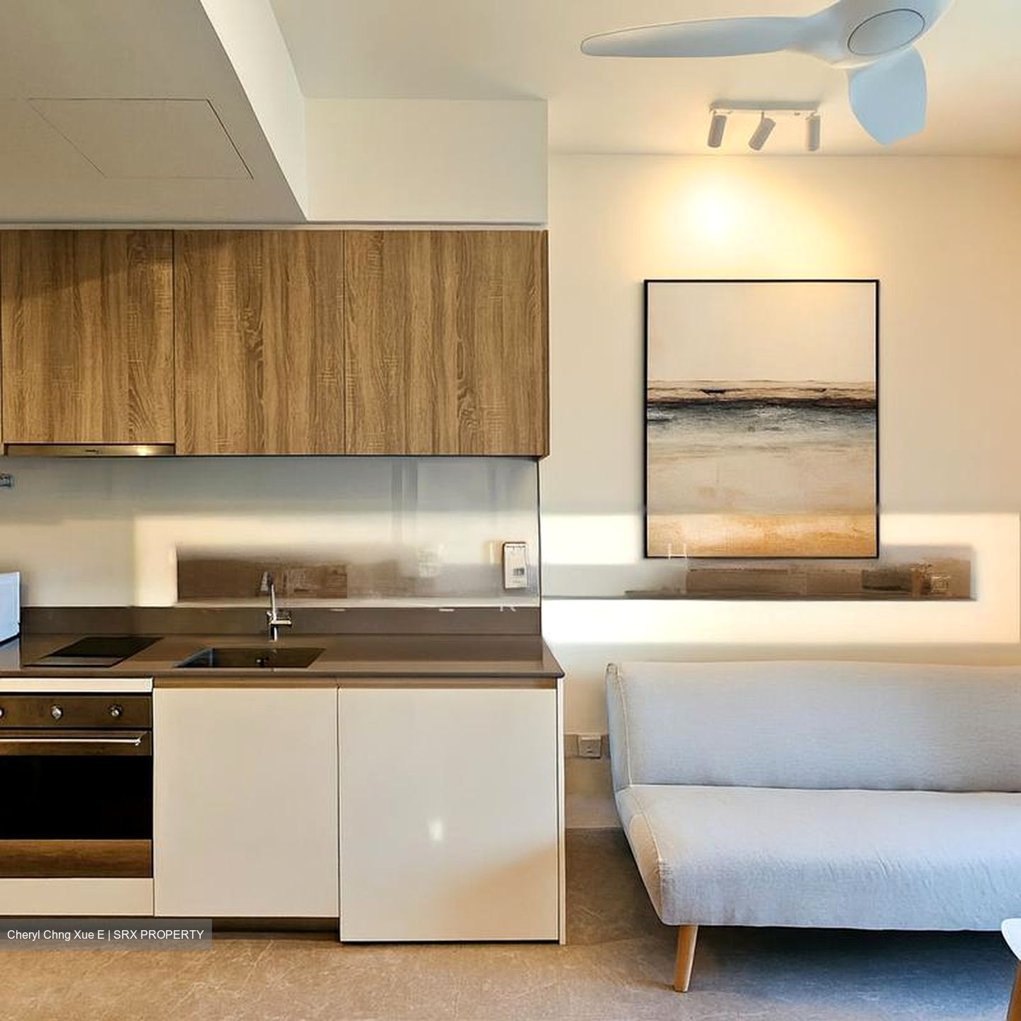 Park Place Residences At Plq (D14), Apartment #501906661